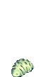 1007