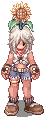 Contractor Discaya