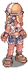 D Mae