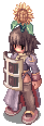 DORA