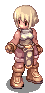 Daru Trader