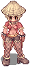 Kotoleta