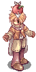 Kukurikapuu
