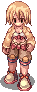 Pojeko