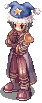 Siegthief