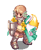 Star Knight