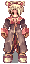 T R A N S P O R T E R
