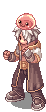 The Inquisitor