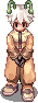 Toshiwap