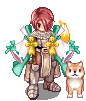 Xylon