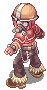 Yort